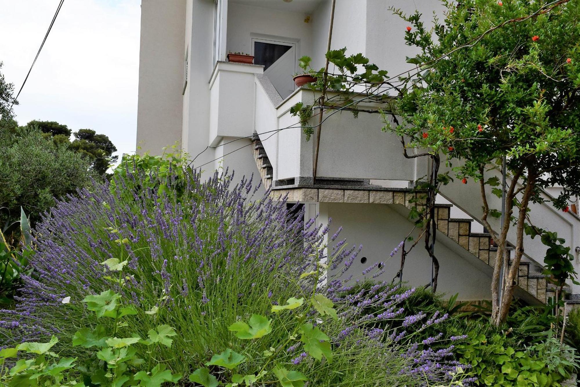 Sunnyy Beacch Apartments Banjol Oda fotoğraf